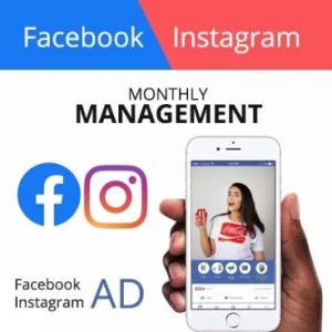 Instagram and Facebook Ads management